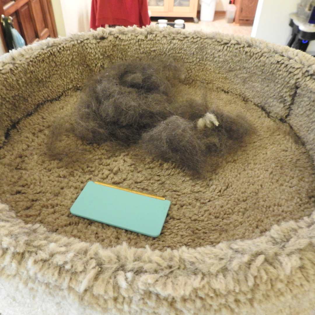 Complete Fur-Free Cleaning Kit – SHOPDAYWELL Mini, Pro & Xtra